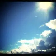 めがねっこ