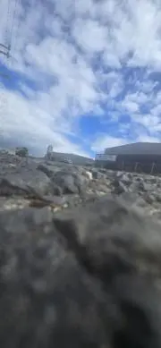 とみーの画像