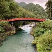 ルーラーの画像