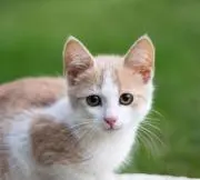 yuuの画像