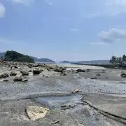 ふとみの画像