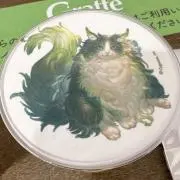 めいの画像