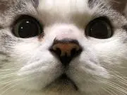 メル56565