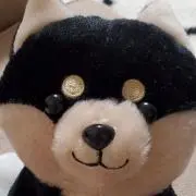 annaの画像