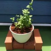 あた
