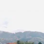 のの