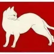 Katzの画像