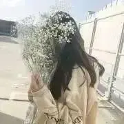 ぽむの画像