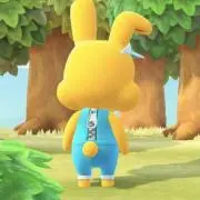 ゆぴの画像