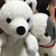 もとの画像