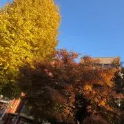たろやん