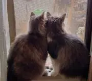 ケロケロ