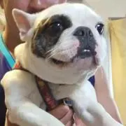 もすぼん