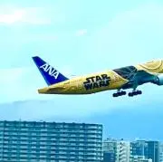 お宝好きの画像