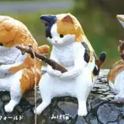 momoの画像