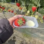 たるるるの画像