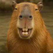 シャープペンシルかねやん