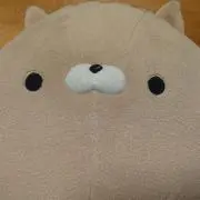 ※プロフィールをご確認下さい！ネブラスカの画像