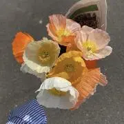 ななみ✨まとめ買い歓迎の画像