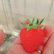 あゆみん