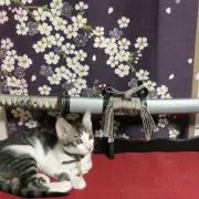 刹那