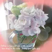 smileの画像