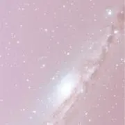 ぴおぴおの画像