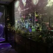 茉莉花(できたら自己紹介読んでください)の画像