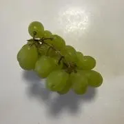 れーの画像