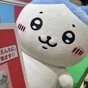 めい。の画像