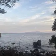 まりの画像