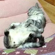 1010