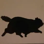 korinの画像