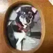 ウォーターの画像