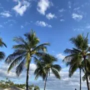 佐野ぽぽぽの画像
