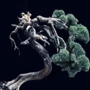盆太郎(プロフ確認お願いします)の画像