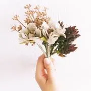 ピノ