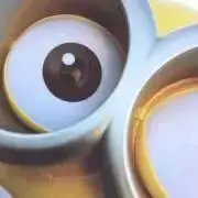 まつの画像