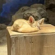 yuukaの画像
