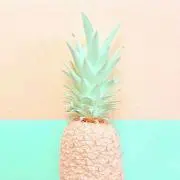 mmta.断捨離中の画像
