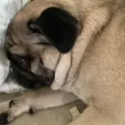 宜しくお願いします。