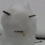 Tngayの画像