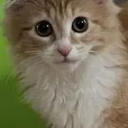 在庫確認してね！の画像