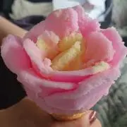 enreiの画像