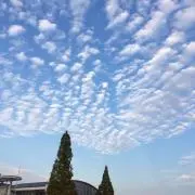 yingliの画像