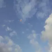 なんたん(*˘︶˘*).。.:*♡の画像