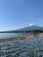 ecoの画像