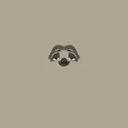 ピナ‎の画像