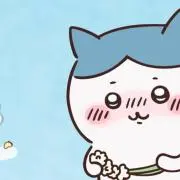 こんぺいとう プロフの画像