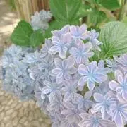 み
